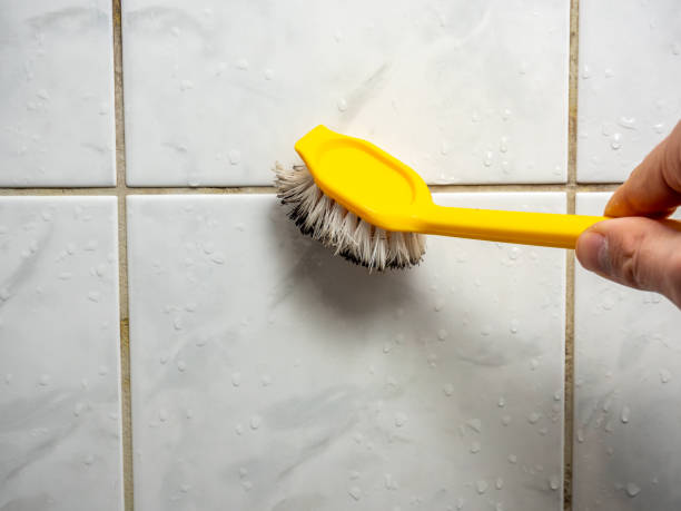 Best Attic Mold Removal  in Elizabethton, TN